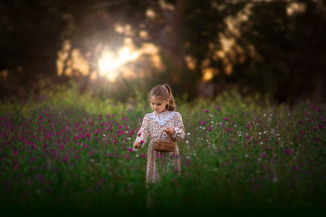 5 year old Perth girl in flower fields during spring photo session