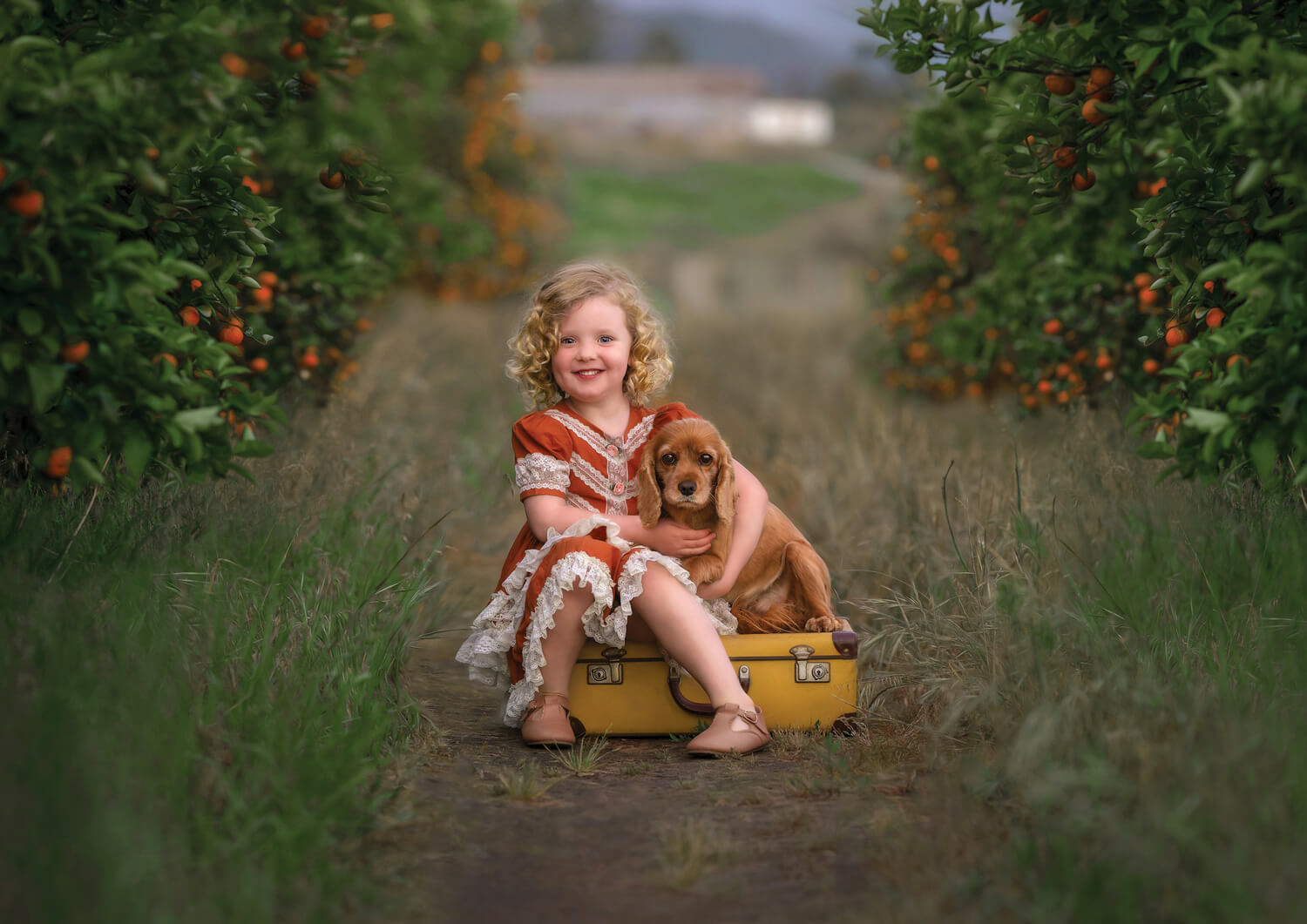 Perth girl and her dog photography