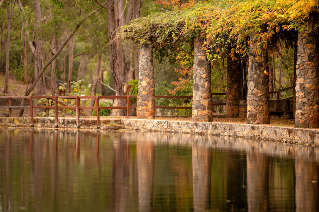 Araluen Botanic Park in Autumn