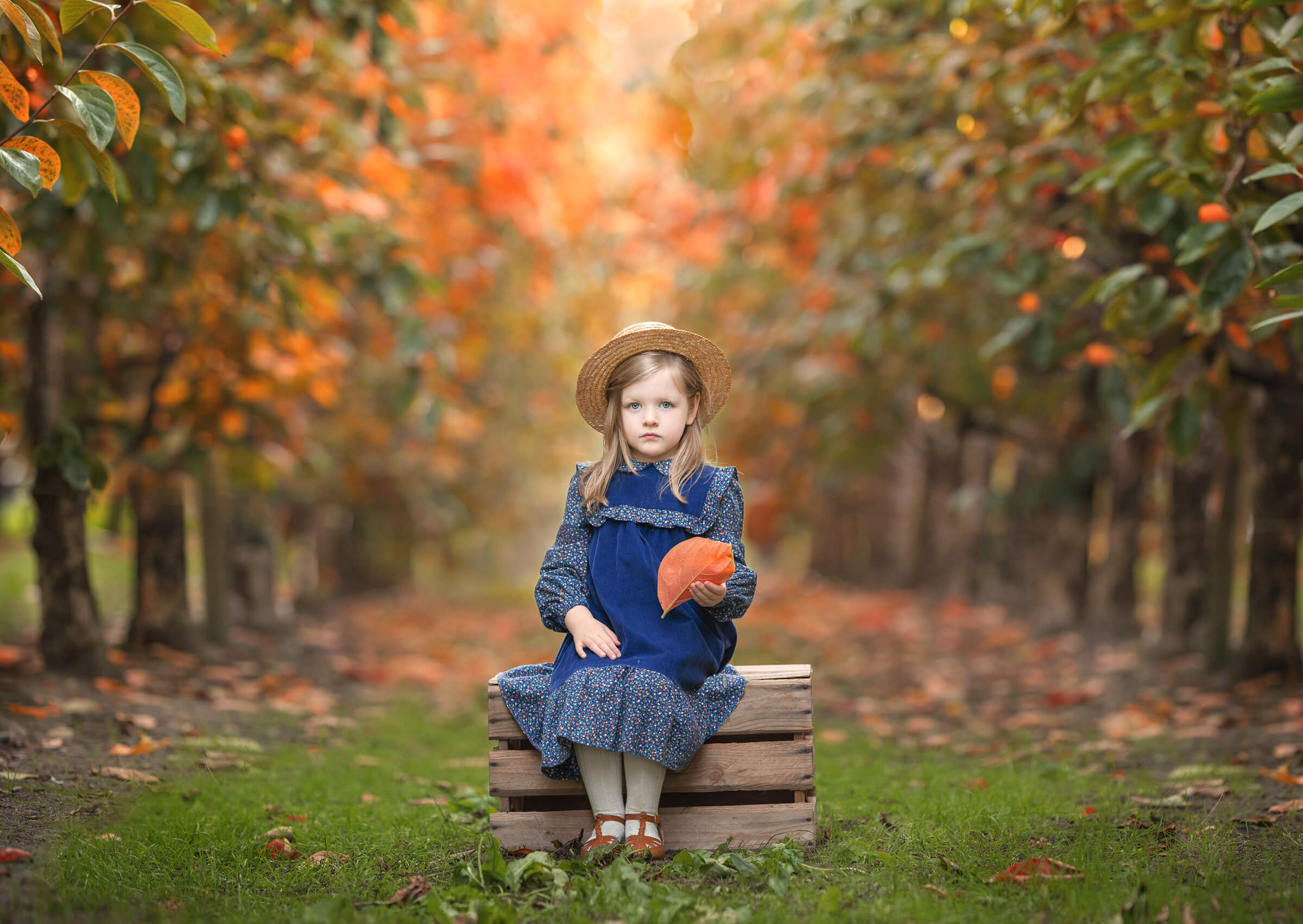 5 year old Perth girl autumn photo session