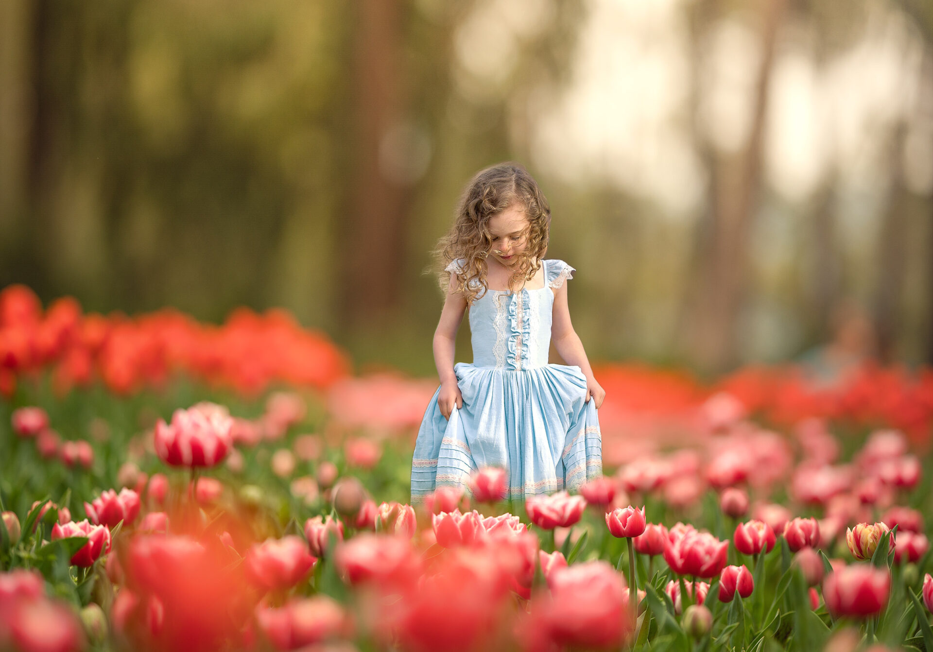 Perth girl during Tulip Season Photoshoot