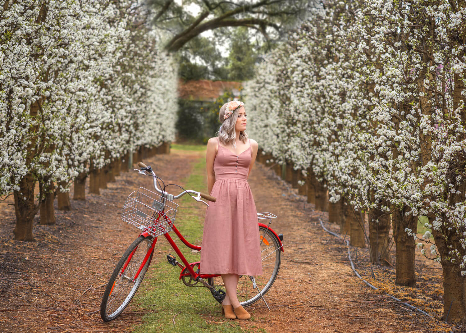 Perth woman during outdoor portrait photoshoot at a orchard with white flowers